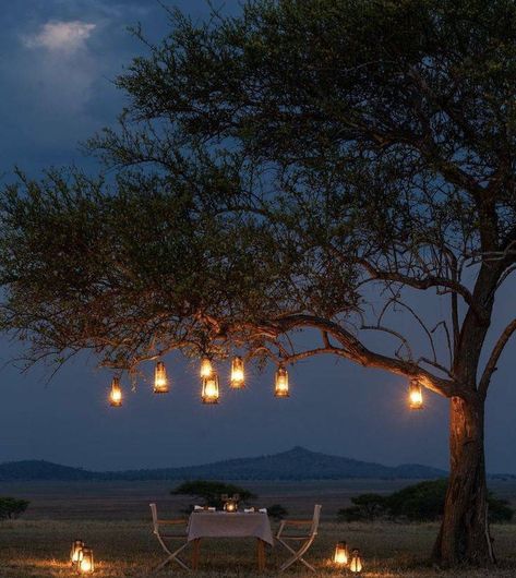 📌Experience dinner in the Wild🍽️🔪 BOOK WITH US Link in bio Safari Lodge Decor, Out Of Africa Style, Cafe Design Inspiration, Lodge Ideas, Under Canvas, Tented Camp, South Africa Wedding, Safari Wedding, Wild Book