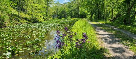 American Discovery Trail ™ | Making Connections – the first coast to coast non-motorized trail Making Connections, Camping Spots, Coast To Coast, Travel Info, Urban Area, The Society, Natural Resources, National Forest, Natural Environment