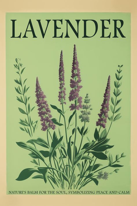 retro-style pastel poster featuring a delicate lavender bloom Vintage Flower Posters, Lavender Wall Bedroom, Lavender Poster Aesthetic, Caamp Lavender Days Poster, Lavender Digital Art, Lavender Poster, Lavender Colored Wall Art, Lavender Wall Art, Lavender Nursery