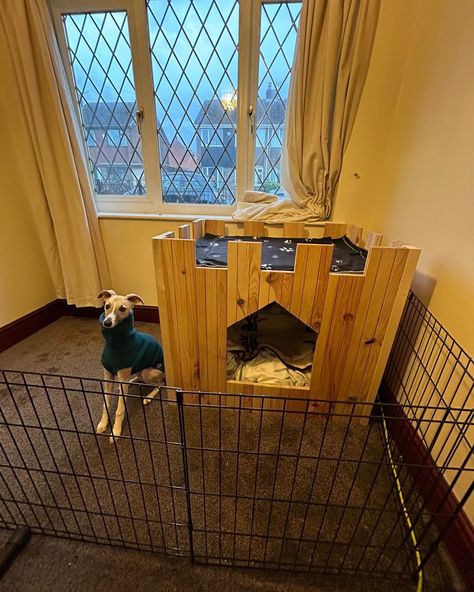 Not what we normally make but a quick favour for a family member. 😃. The Queen 🐕 in her castle 😁. #dogbeds #dogbed #dogsofinstagram #dogs #dog #doglovers #doglife #pets #petbeds #dogstagram #petbed #doglover #dogbedswithstyle #puppy #petsofinstagram #dogaccessories #petsupplies #catbed #catbeds #dogtoys #dogoftheday #pet #uniquedogbeds #cats #puppylove #petshop #dogclothes #shoplocal #instadog #ilovemydog Dog Castle, Unique Dog Beds, Dog Projects, H Style, Pet Beds, Pet Bed, Dog Accessories, Cat Bed, Dog Life