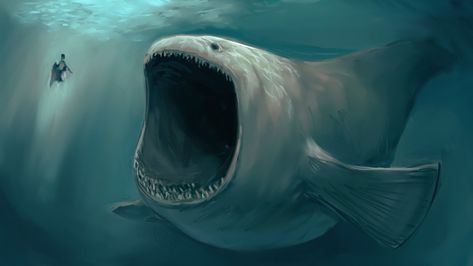 Open ocean is a scary place. - Album on Imgur Dangerous Fish, Scary Fish, Sea Monster Art, Ocean Monsters, Scary Ocean, Scary Animals, Scary Places, Sea Monsters, Ocean Creatures