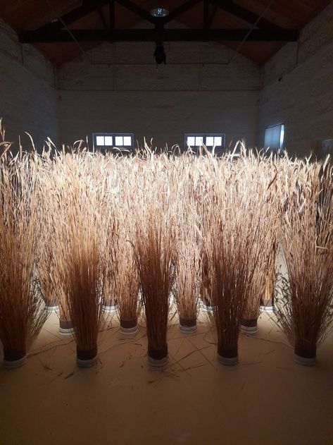 This installation is part of the artist's exhibition at the Serralves Museum, Portugal. http://www.delindro.com/ Moon Exhibition, Corn Stalks, Nature Museum, Food Props, Party Rock, Winter Dinner, Scene Design, Stage Design, Event Styling