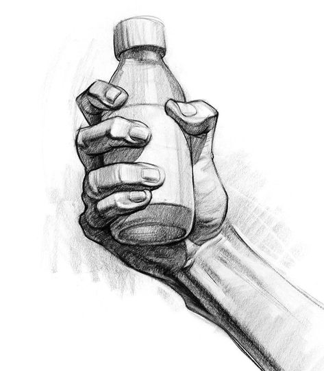 Quick Sketches, Bottle Drawing, Istoria Artei, Drawing Hands, Hand Drawing Reference, Human Anatomy Art, Hands Holding, Anatomy Drawing, Hand Sketch