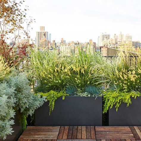 Bring Life to any Rooftop 🌿 Looking to create a vibrant #RooftopEscape? Look no further! Our custom planter boxes are the perfect addition to any #RooftopHardscape. Our durable and stylish planters are the perfect solution for a city dweller longing for a green retreat or a business owner looking to enhance a commercial space. Click the link in our bio to discover endless possibilities with Planterworx today! Roof Garden Design, Patio Design Ideas, Terrace Garden Design, Rooftop Terrace Design, Rooftop Design, Custom Planters, Balcony Plants, Garden Decor Ideas, Rooftop Patio