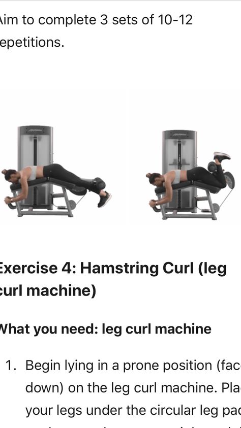 Leg Curl Machine Workout, Prone Leg Curl, Hamstring Curl Machine, Hamstring Curl, Leg Curl Machine, Hamstring Curls, Body Gym, Leg Curl, Full Body Gym Workout