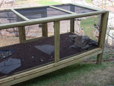 Outdoor Enclosure Outdoor Lizard Enclosure, Bearded Dragon Outdoor Enclosure, Outdoor Reptile Enclosure, Turtle Diy, Red Tail Boa, Rabbit Hutch Indoor, Bearded Dragon Enclosure, Bearded Dragon Habitat, Outdoor Enclosure