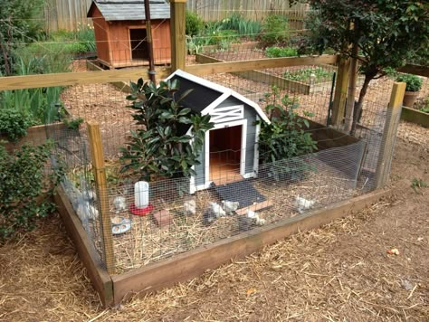 [​IMG] Small Chicken Coop For Silkies, Cute Duck House Ideas, Small Space Chicken Coop, Bantam Chicken Coop Ideas, Fenced In Chicken Coop, Silkie Coop Ideas, Cute Quail Coop, Duck Cage Ideas, Chicken Coop For Silkies