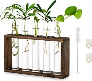 Tabletop Terrarium, Hanging Glass Planters, Desktop Planter, Terrarium Jar, Test Tube Vase, Propagation Station, Bulb Vase, Hydroponic Plants, Test Tubes