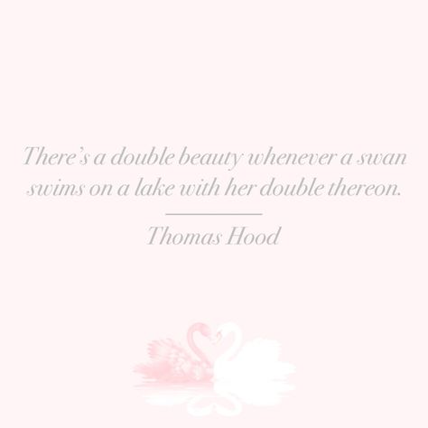 Angelic Affirmations, Swan Quotes, Girly Lifestyle, Lake Quotes, Happy Baisakhi, Swan Love, Dior Girl, Pink Theme, Beautiful Quote