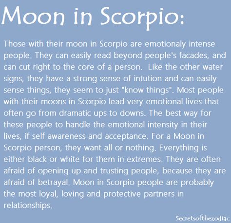 Emotionally intense-Moon in Scorpio Scorpio Moon Sign, Moon In Scorpio, Scorpio Traits, Scorpio Love, Scorpio Zodiac Facts, Scorpio Quotes, Water Bearer, Scorpio Sign, Astrology Numerology