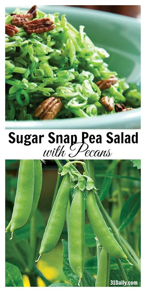 Sugar Snap Pea Salad with Pecans Pickled Snap Peas, Snap Pea Salad Recipes, Snow Pea Salad Recipe, Snap Peas Salad, Snap Pea Recipes, Snap Pea Recipe, Sugar Snap Pea Salad, Peas Salad, Sugar Snap Pea Recipe