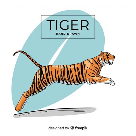 Tiger Jumping Illustration, Jumping Video, Jumping Photography, Jump Pose, Sketch Tiger, Jump Art, Jumping Tiger, Jump Animation, Water Tiger