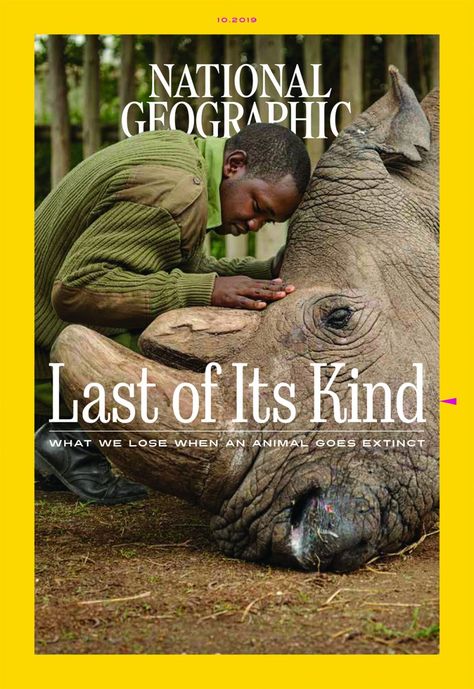 All Creatures Great And Small National Geographic Cover, National Geographic Animals, The Last Goodbye, Science Stories, Breathtaking Photography, National Geographic Magazine, Magazine Subscription, Photo Story, Travel Stories