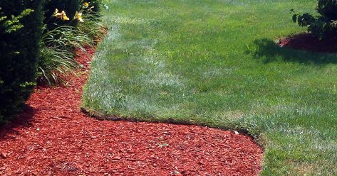 Plastic Landscape Edging, Plastic Lawn Edging, Garden Spade, Garden Problems, Diy Lawn, Grasses Landscaping, Cottage Garden Design, Garden Walkway, Plastic Edging