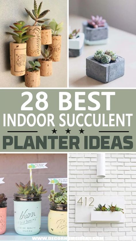 indoor succulent planter ideas Succulent Craft Ideas, Diy Mini Succulent Planter, Mini Succulent Pots, Succulent Planter Ideas Indoor, Succulent Crafts Diy, Diy Succulent Planters Ideas, Succulent Pot Ideas Diy, Succulent Pot Ideas, Succulent Container Ideas