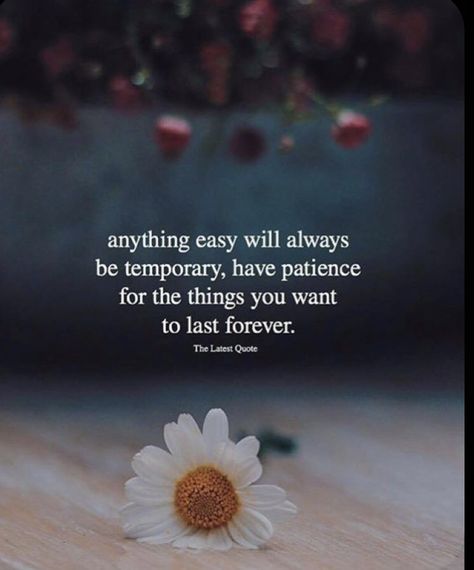 Patience Quotes Relationship, Have Patience Quotes, Forgotten Quotes, Morning Juice, Patience Quotes, Too Late Quotes, Have Patience, Think Positive, Having Patience