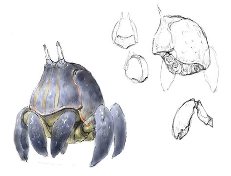 Cute Crab Art, Crab Character Design, Crustaceans Art, Final Fantasy Xi, Crab Art, Speculative Evolution, Beast Creature, Alien Concept Art, Creature Drawings