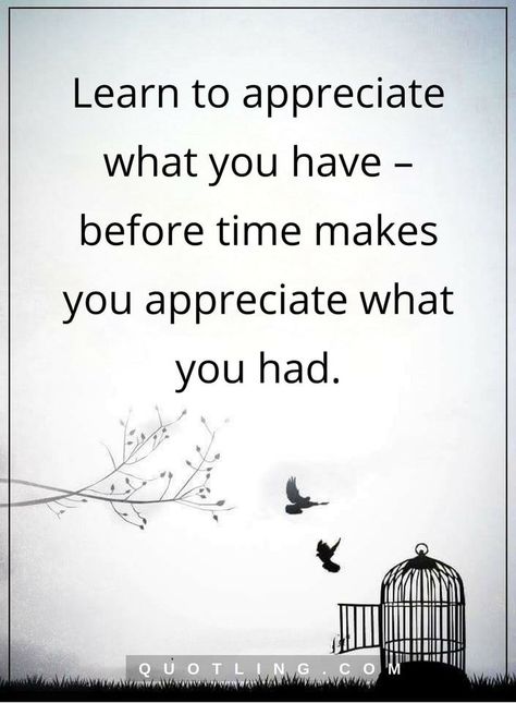 Appreciate Quotes, Mother Knows Best, Appreciate What You Have, Life Mantras, Motivation Lifestyle, Worth Quotes, Appreciation Quotes, Uplifting Words, Good Motivation