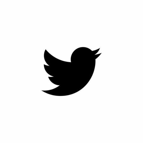 Twitter Logo, Twitter App, Black App, App Pictures, Iphone Photo App, Ios App Icon Design, Iphone App Design, Twitter Icon, Ios App Icon