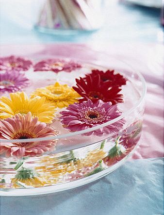 Floating Flowers Flowers Floating In Water, Floating Flower Centerpieces, Floating Flower Arrangements, Bowl Of Flowers, Water Centerpieces, Water Poster, Floating Flowers, Water Table, Cylinder Vase