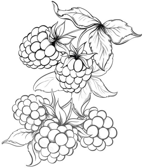 Flower And Fruit Tattoo, Strawberry Flower Drawing, Fruit Sketch Drawing, Fruit Line Drawing, Fruit Drawings, Line Art Coloring, Fruit Drawing, Flower Line Drawings, Fruits Drawing