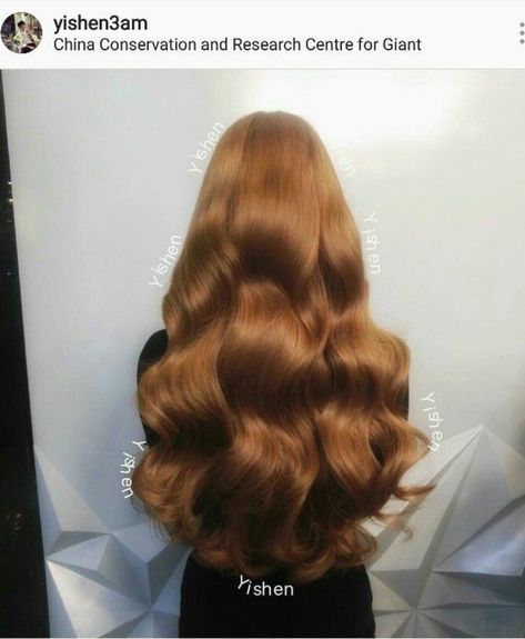 World Hair, Strawberry Blonde Hair Color, Beauty Hair Color, Ginger Hair Color, Hairstyles For Layered Hair, Honey Hair, Golden Hair, Haircuts Straight Hair, Hair Inspiration Color