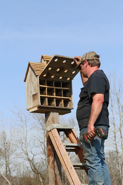 Purple Martin House Plans, Purple Martin Birdhouse, Martin Bird House, Martin Bird, Purple Martin House, Homemade Bird Houses, Purple Martin, Open Sesame, Bird Houses Ideas Diy