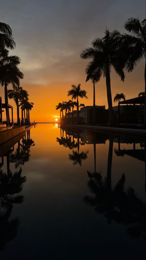 Sunset photography 
Resort
Infinity pool
Sunset 
Photography 
Palm trees Grenada Aesthetic, Silversands Grenada, Grenada Island, 2024 Holidays, Caribbean Summer, Grenada Caribbean, Tropical Travel Destinations, Christmas Cruise, Christmas Cruises