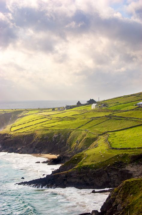 ***Dingle Peninsula (Co. Kerry, Ireland) by Stephen Dagley Dingle Peninsula Ireland, Dingle Peninsula, Love Ireland, Green Hills, Voyage Europe, To Infinity And Beyond, Reykjavik, Ireland Travel, The Hill