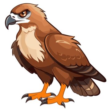 cartoon clipart,hawk clipart,character clipart,hawk,clipart,cartoon,brown,bird,beak,drawing,accipitriformes,terrestrial animal,tail,accipitridae,illustration Hawk Cartoon Drawing, Bird Beaks Drawing, Bird Beak Drawing, Hawk Cartoon, Hawk Drawing, Beak Drawing, Dragons Cartoon, Dungeons And Dragons Cartoon, Birds Cartoon