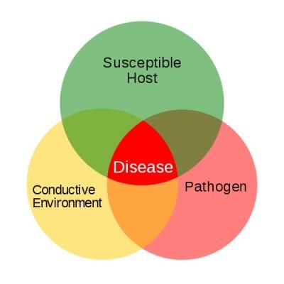 500px-Plant Disease Triangle Plant Pathology, Plant Tissue, University Of Illinois, Crop Rotation, Plant Cell, Plant Diseases, Cell Wall, Powdery Mildew, Plant Health