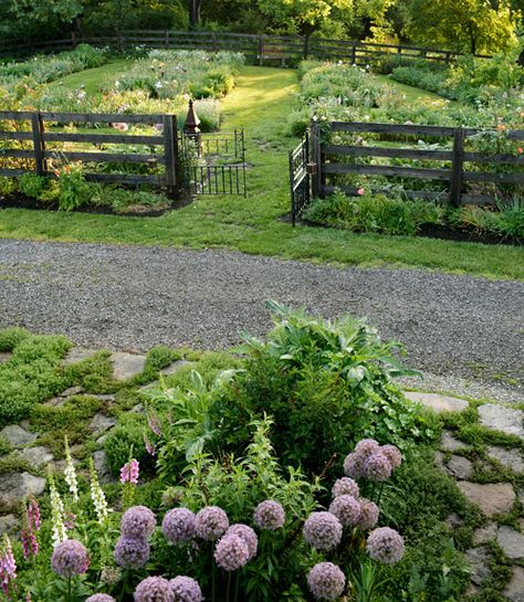 Cottage Garden Design, Garden Wallpaper, Plants Growing, Pergola Patio, Garden Care, Garden Features, Country Gardening, Veggie Garden, Farm Gardens