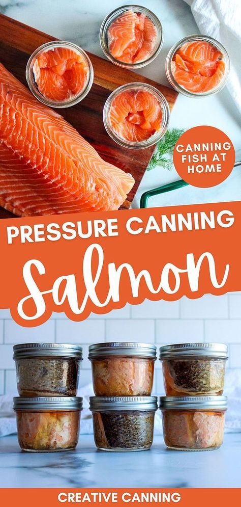 Discover pressure canning salmon from our pressure canning fish & seafood category. Learn the art of preserving wild-caught salmon using a pressure canner to enjoy the rich, natural flavor of home-canned salmon all year round. Perfect for stocking your pantry with healthy, ready-to-eat seafood. Find more pressure canning recipes, salmon dinner ideas, and preserving salmon ideas at creativecanning.com. Homestead Binder, Canning Salmon, Canning Fish, Meals In Jars, Canning Beef Stew, Salmon Ideas, Canning Meals, Salmon Dinner Ideas, Pressure Canning Meat