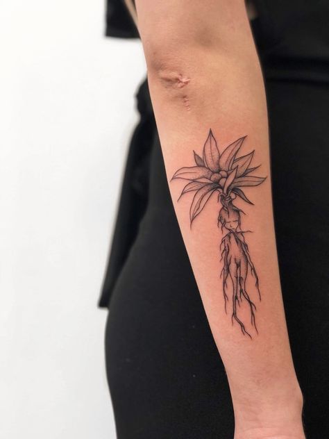 Herbology Harry Potter Tattoo, Mandrake Tattoo Harry Potter, Harry Potter Mandrake Tattoo, Herbology Tattoo, Mandrake Tattoo, Harry Potter Tattoos Minimalist, Harry Potter Tattoo Unique, Tattoo Types, Pixie Tattoo