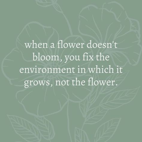 Therapy quote: “Are you a plant lover like me? I have plants in all corners of my home! ⁠ ⁠ Sure, some haven't done so well but others are thriving, why?…” Buy Me Plants And Tell Me Im Pretty, Gardening Therapy Quotes, Water Your Plants Quotes, Plants Are My Therapy, Plants Lover Quotes, Plant Therapy Quotes, I Love Plants Quotes, Happy Flower Quotes, Grow Where You Are Planted