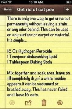 Cats Talking, Smell Remover, Cat Urine Smells, Clean Baking Pans, Urine Smells, Carpet Cleaning Machines, Cat Pee, Cat Urine, Vinegar Cleaning