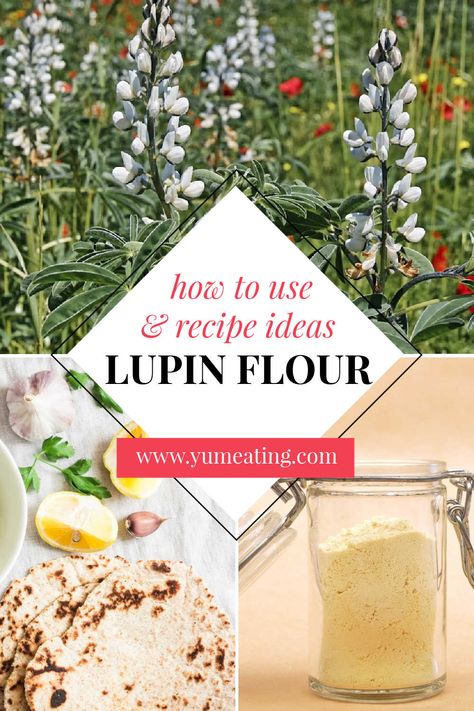 Lupin Flour - How to use it, Recipes and Nutritional Info – Yum Eating Recipes With Lupin Flour, Lupin Flour, Basic Bread Recipe, Hearty Vegetable Soup, Keto Diets, Bread Shaping, Types Of Flour, Baking Cakes, Flour Recipes