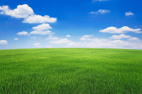 green grass field with blue sky ad white cloud. nature landscape background Green Landscape Photography, Background Grass Nature, Grass Background For Editing, Nature Photography Landscape Scenery, Sky And Grass Background, Sky Background Landscape, Landscape Banner Design, Nature Background Landscape, Background Images Landscape