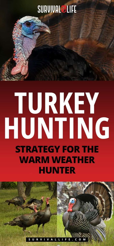 Turkey Hunting Strategy For The Warm Weather Hunter Duck Hunting Dogs, Archery Tips, Hunting Diy, Deer Hunting Tips, Quail Hunting, Duck Hunting Gear, Shtf Preparedness, Deer Hunting Gear, Turkey Calling