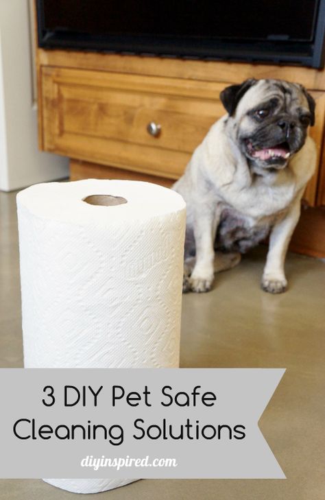 Three DIY Pet Safe Cleaners with Recipes and Instructions.  #furgiveness #quickerpickerupper Pet Safe Floor Cleaner, Pet Friendly Flooring, House Keeping, Monkey Stuffed Animal, Pet Cleaning, Pet Pigs, Safe Cleaning Products, Animals Funny, Cutest Animals