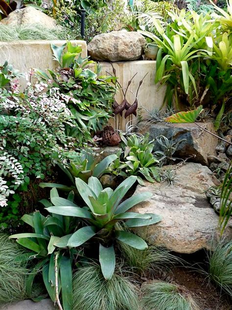 The most important thing in landscape - the plants Hawaiian Landscaping, Garden Redesign, Hammock Area, Rock Wall Gardens, Small Tropical Gardens, Ponds For Small Gardens, Rockery Garden, Balinese Garden, Garden Tropical