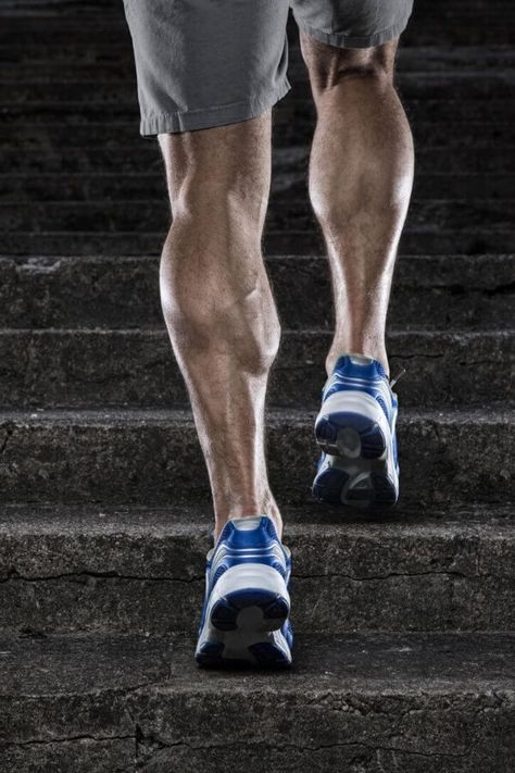 If you find your calves aren’t growing, it’s probably not because you have poor calf genetics. Instead, it’s more likely that you just aren’t giving your calves the kind of training they need to grow. The calves are made up of two muscles: The *gastrocnemius* and the *soleus*. if you want strong, developed calfs, you need to do exercises that train both. Straight-leg exercises (leg press calf raise) emphasize your gastrocnemius, and bent-leg exercises (seated calf raise) emphasize your soleus. Calf Workouts, Calf Muscle Workout, How To Burn Calories, Best Calf Exercises, Getting Thick, Calf Workout, Figure Competition Diet, Exercise Images, Leg Anatomy