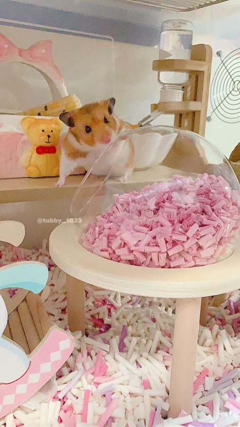 Kawaii Hamster Cage, Pink Hamster Cage Theme, Aesthetic Hamster Cage, White Clean Bedroom, Pink Hamster Cage, Gerbil Habitat, Hamster Cage Setup, Pink Hamster, Roborovski Hamster