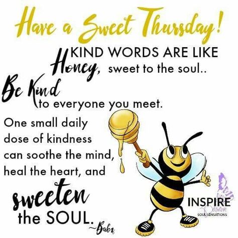 Have A Sweet Thursday good morning thursday thursday quotes good morning… Thursday Morning Quotes, Week Blessings, Thursday Inspiration, Hello Thursday, Thursday Greetings, Thursday Thoughts, Thursday Blessings, Morning Thursday, Thursday Humor