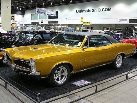 1966 Pontiac GTO | Flickr - Photo Sharing! Old School Muscle Cars, 1966 Gto, Pontiac Cars, Yellow Car, Old School Cars, Trans Am, Rat Rods, Us Cars, Pontiac Gto