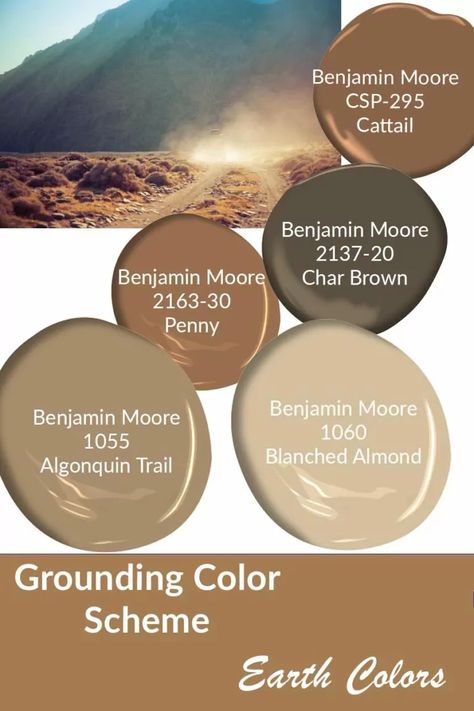 Carmel Paint Colors, Warm Colored Living Rooms, Copper Paint Colors, Green And Brown Color Palette, Earth Tones Paint, Painting Tricks, Brown Paint Colors, Redecorating Ideas, Forest Home