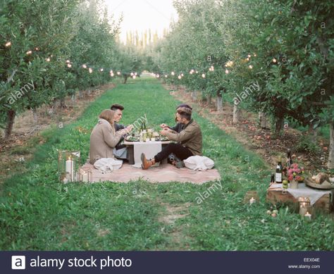 Apple orchard. Group of people having a picnic Stock Photo People Having A Picnic, Picnic Images, Utah Usa, Apple Orchard, Buy Apple, Group Of People, A Picnic, Apple Tree, Stock Photography