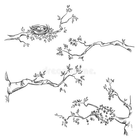 Set of hand drawn branches, vector illustration vector illustration Tree Branch Tattoo, Tree Drawing Simple, Tree Branch Wall Art, Branch Drawing, Tree Doodle, Branch Tattoo, Branch Vector, Sky Art Painting, Nature Sketch