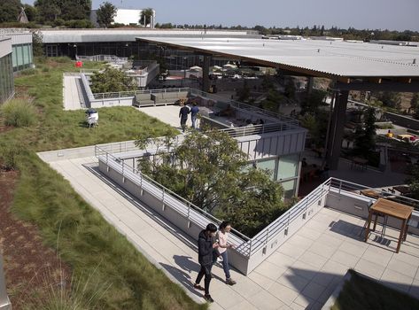 “The Bowl,” a terraced area like a botanical garden, connects the MPK20 building with the new MPK21 building at Facebook headquarters in Menlo Park, California. Workers are just moving into MPK21.  (LiPo Ching/TNS) Menlo Park, Simple Interior, Frank Gehry, Famous Architects, Botanical Garden, Botanical Gardens, Terrace, The Neighbourhood, California