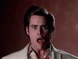 Omg Shocked GIF - Omg Shocked OhMyGod - Discover & Share GIFs Reckless Behavior, Mister Ed, Shocked Face, Workplace Humor, Ace Ventura, Movie Quotes Funny, Jim Carrey, Movie Gifs, Cute Couple Selfies